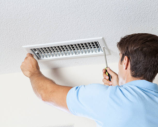 Best Biohazard Mold Removal  in Landen, OH